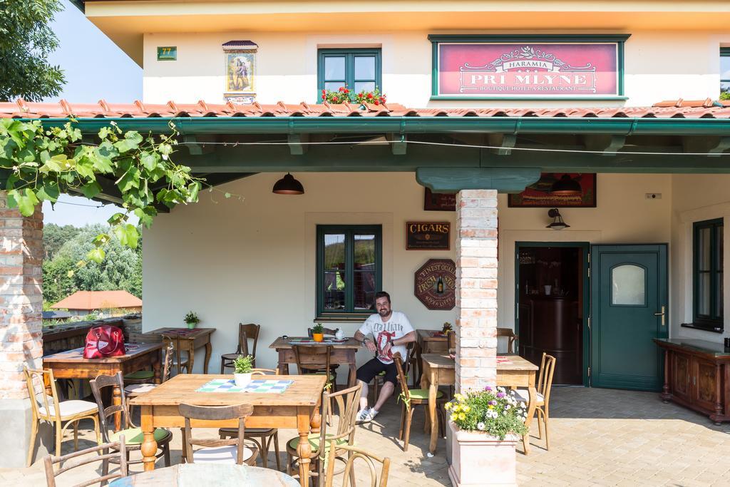 Boutique Hotel Pri Mlyne Lozornó Kültér fotó