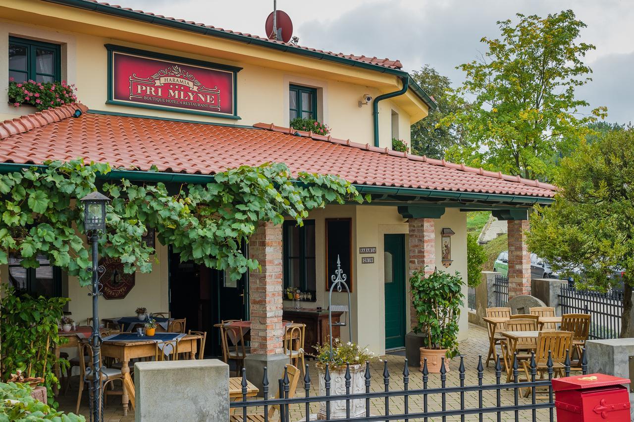 Boutique Hotel Pri Mlyne Lozornó Kültér fotó